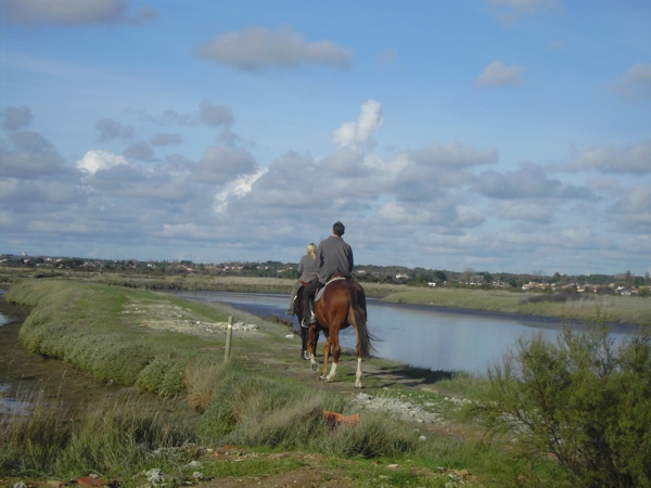 Balade à cheval dans les marais des Olonnes