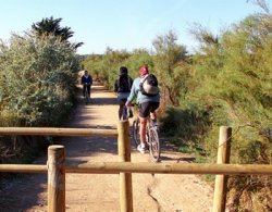 Location vélo Vendée - Pistes cyclables les Sables d'Olonne