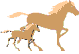 Accueil des cavaliers et leurs chevaux