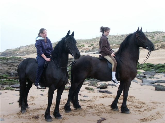 Groupes de cavaliers dans les dunes et leurs chevaux