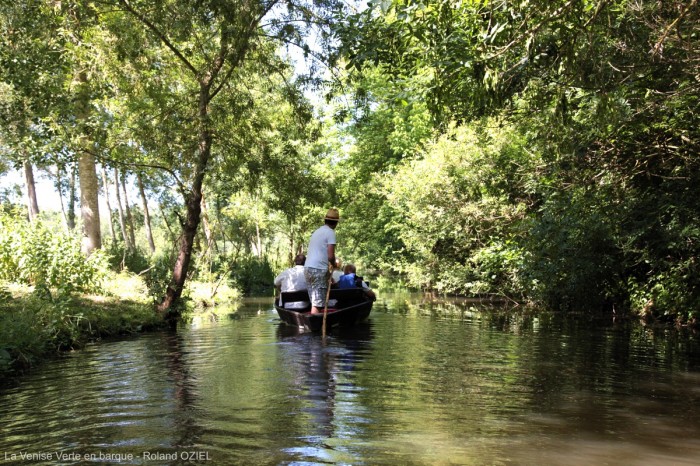 Marais Poitevin et la Venise Verte en barque