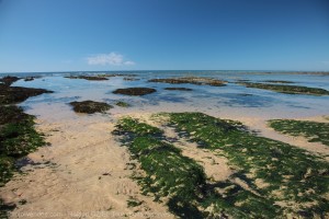 maree basse peche a pied