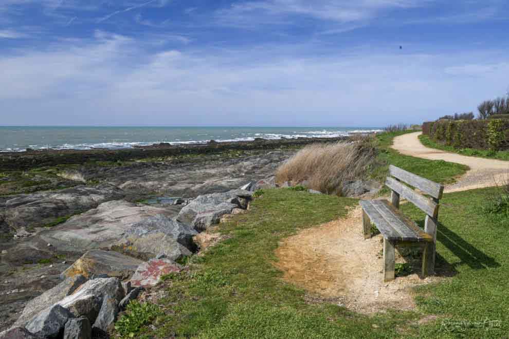 Du côté de Marais Girard  Brétignolles sur Mer