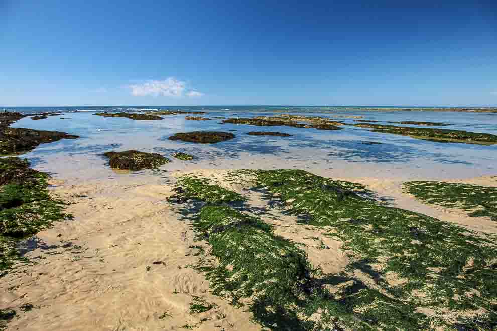 Gites et proche de la plage de sauveterre