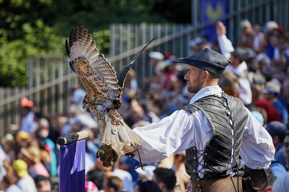 Le Bal des Oiseaux Fantomes Puy du Fou