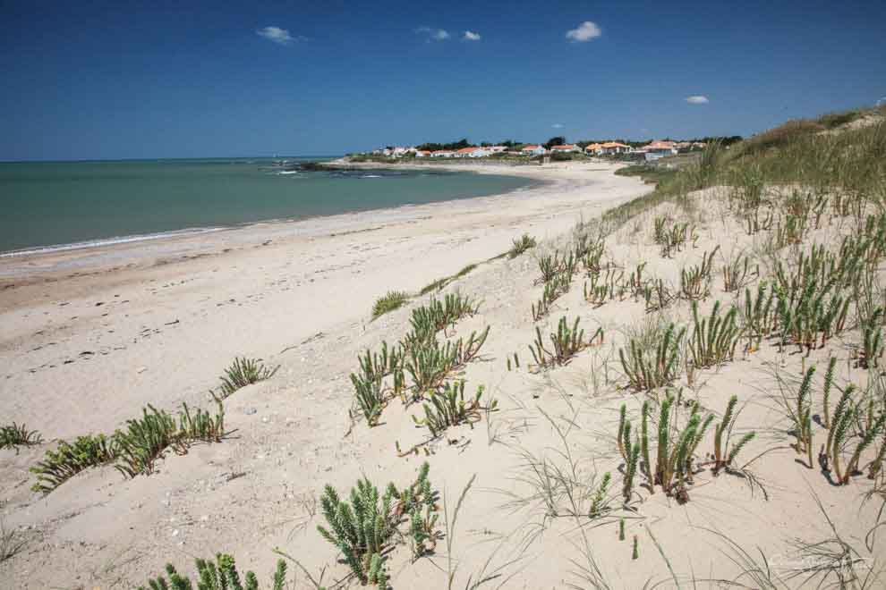 Dunes  Brétignolles sur Mer