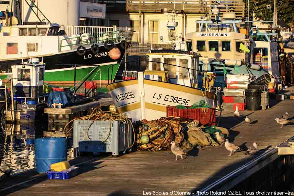 Port de pêche