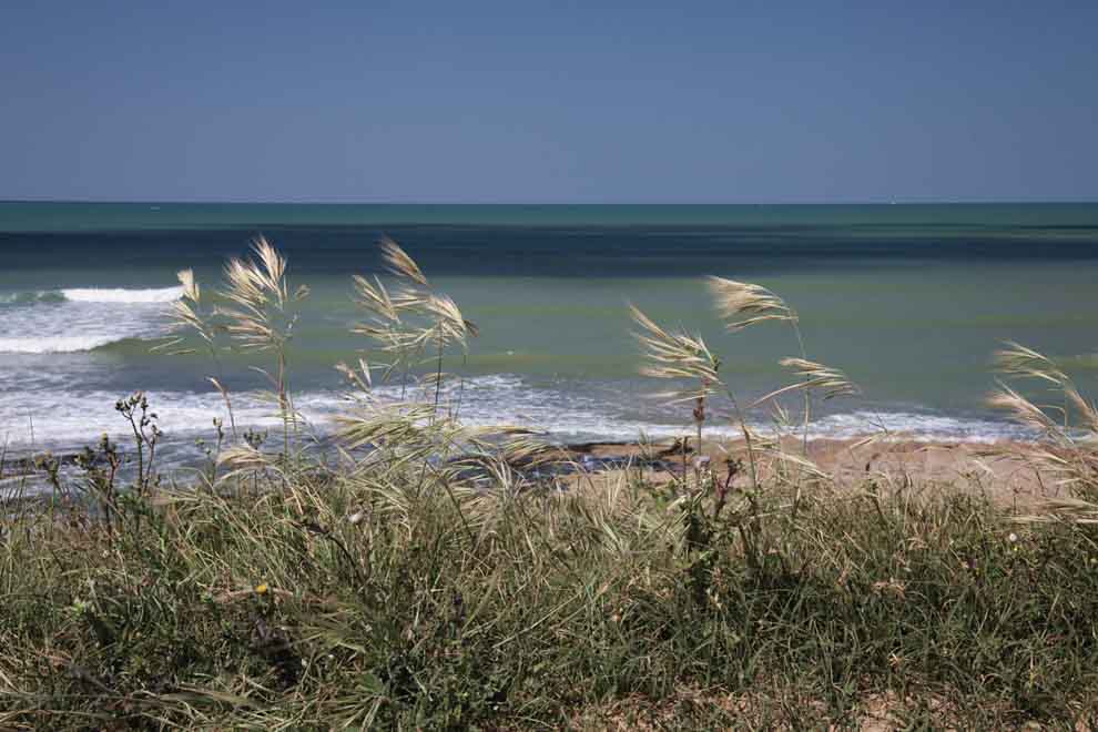 La mer vue des dunes de  Brétignolles sur Mer