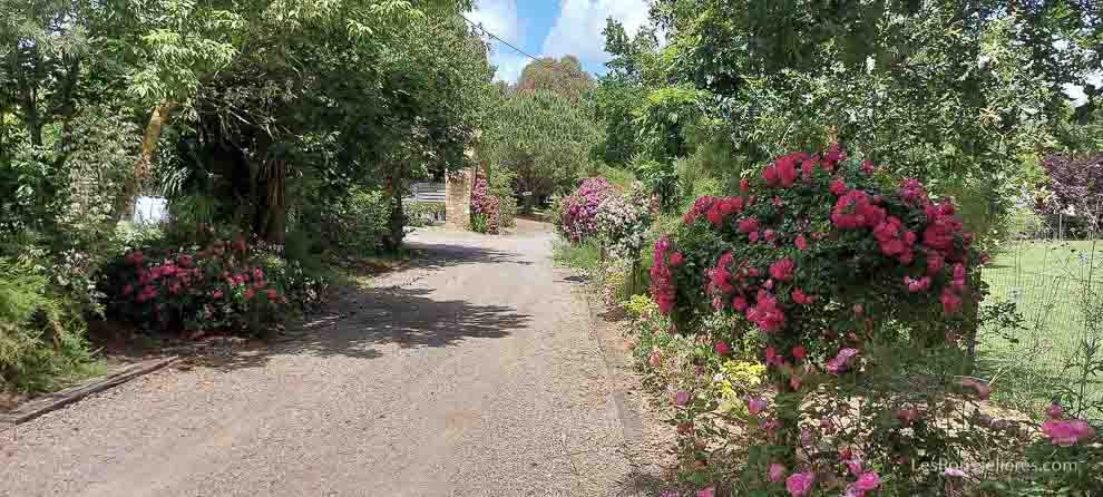 Camping fleuri  les Sables d&apos;Olonne