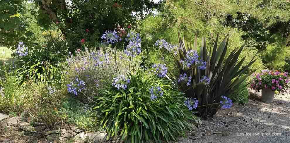 Gîtes et camping avec jardin et fleurs  les Sables d&apos;Olonne