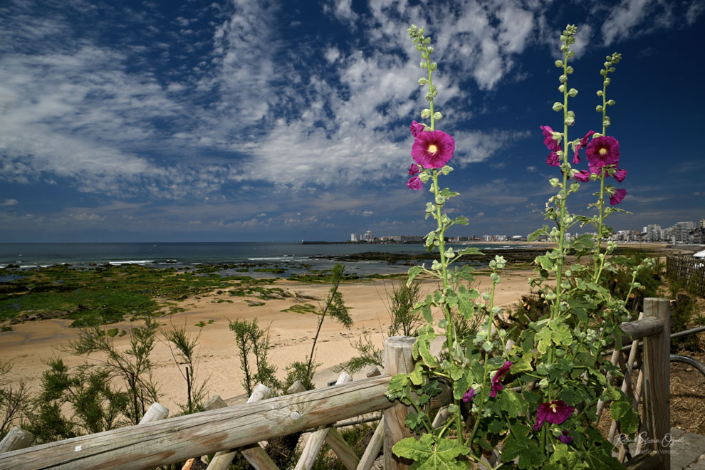 Remblai des sables d&apos;olonne