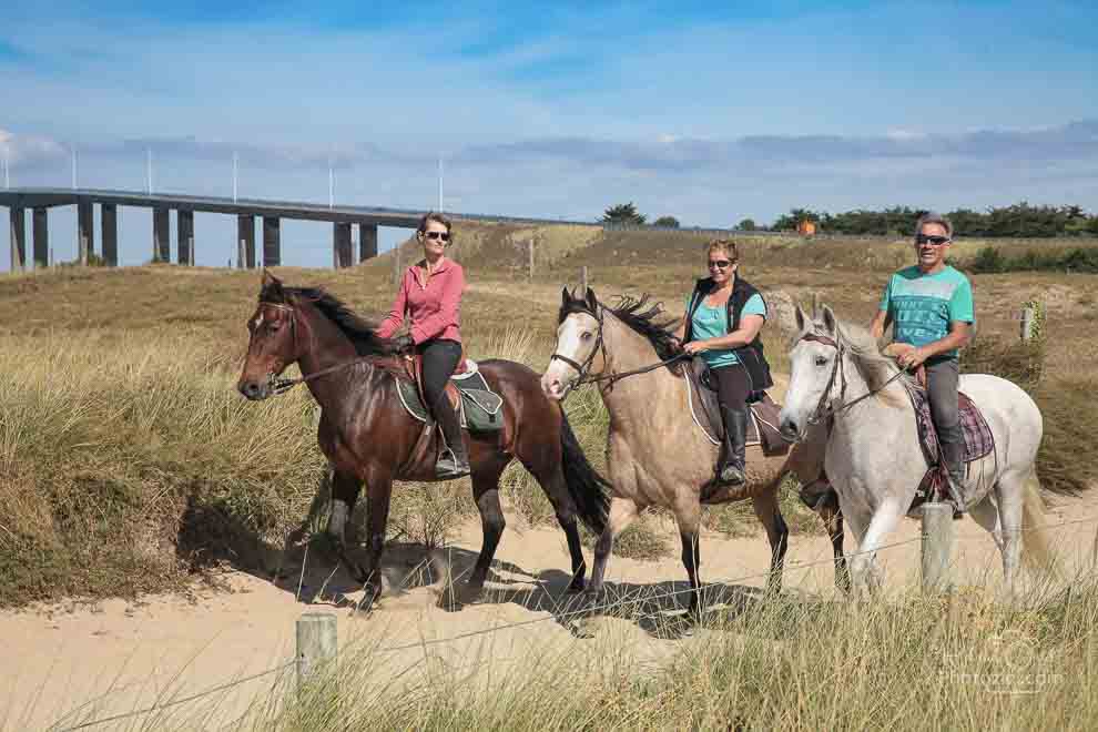 Accueil chevaux les sables d&apos;olonne