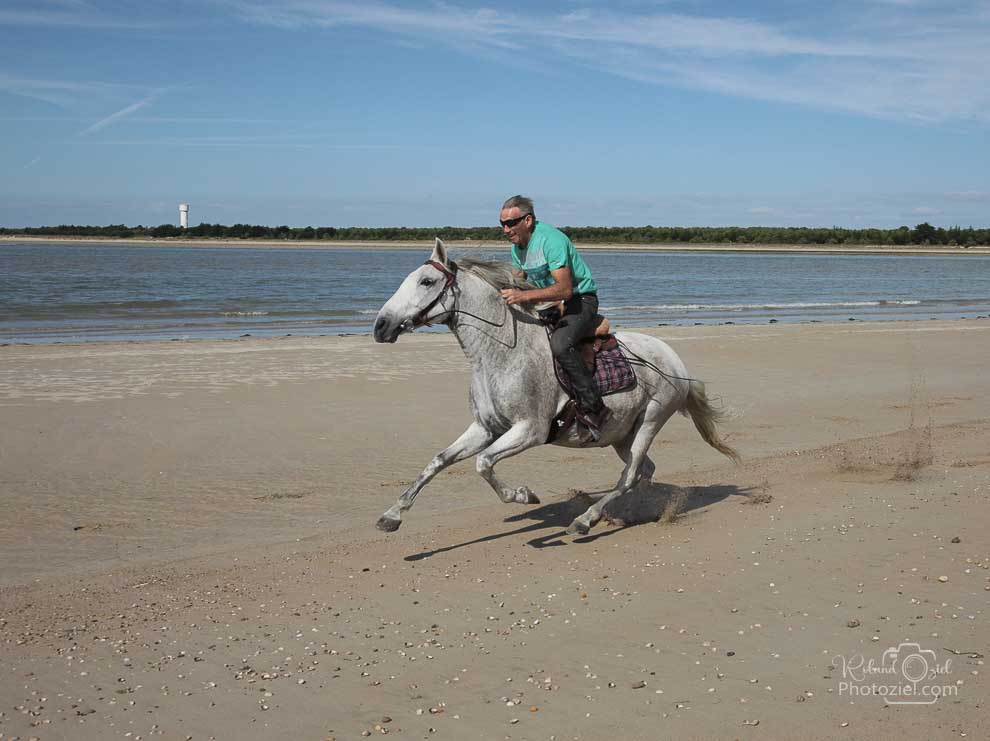 Accueil cavaliers et chevaux les sables d&apos;olonne