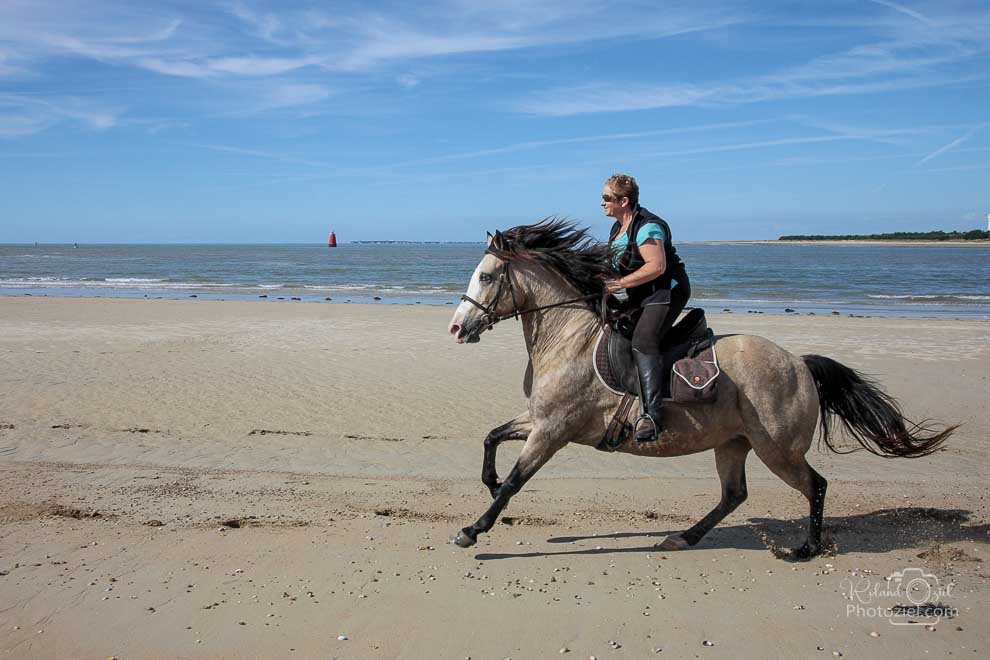 Camping et gites avec accueil chevaux les sables d&apos;olonne