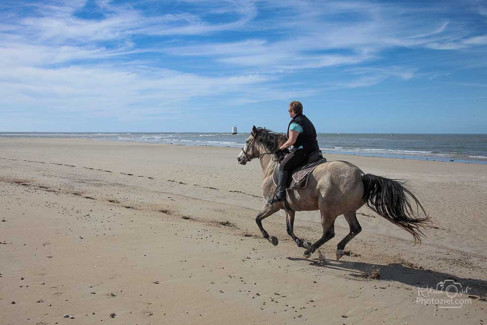 Gite equestre les sables d&apos;olonne