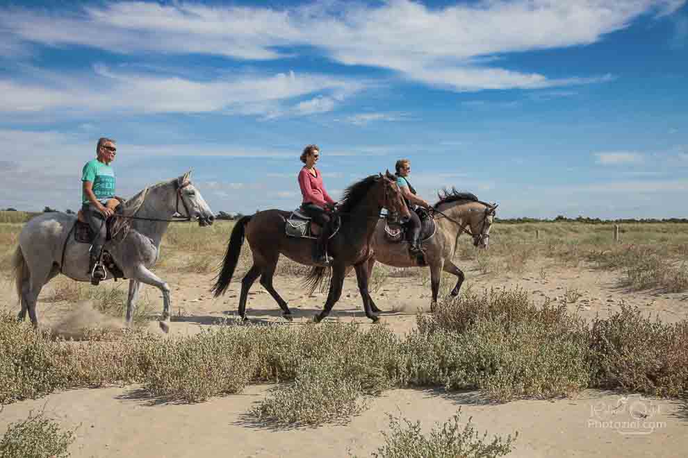 Accueil des chevaux et des cavaliers aux Sables d&apos;Olonne en camping et gîtes