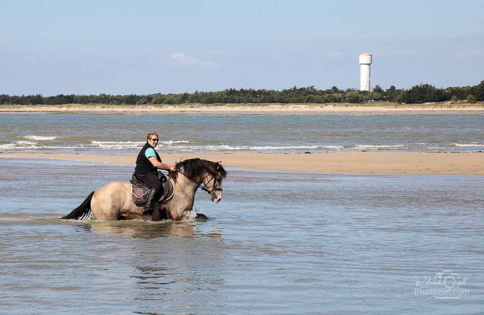 Gîtes de groupes avec accueil des chevaux aux sables d&apos;olonne